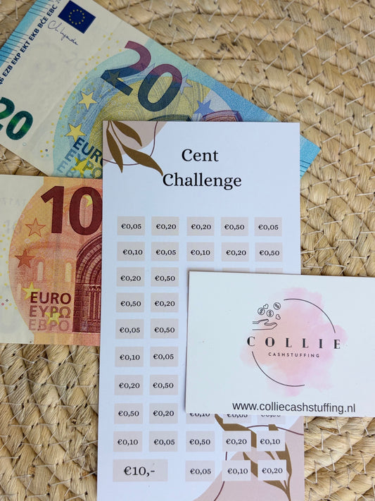 Cent challenge mix Japandi