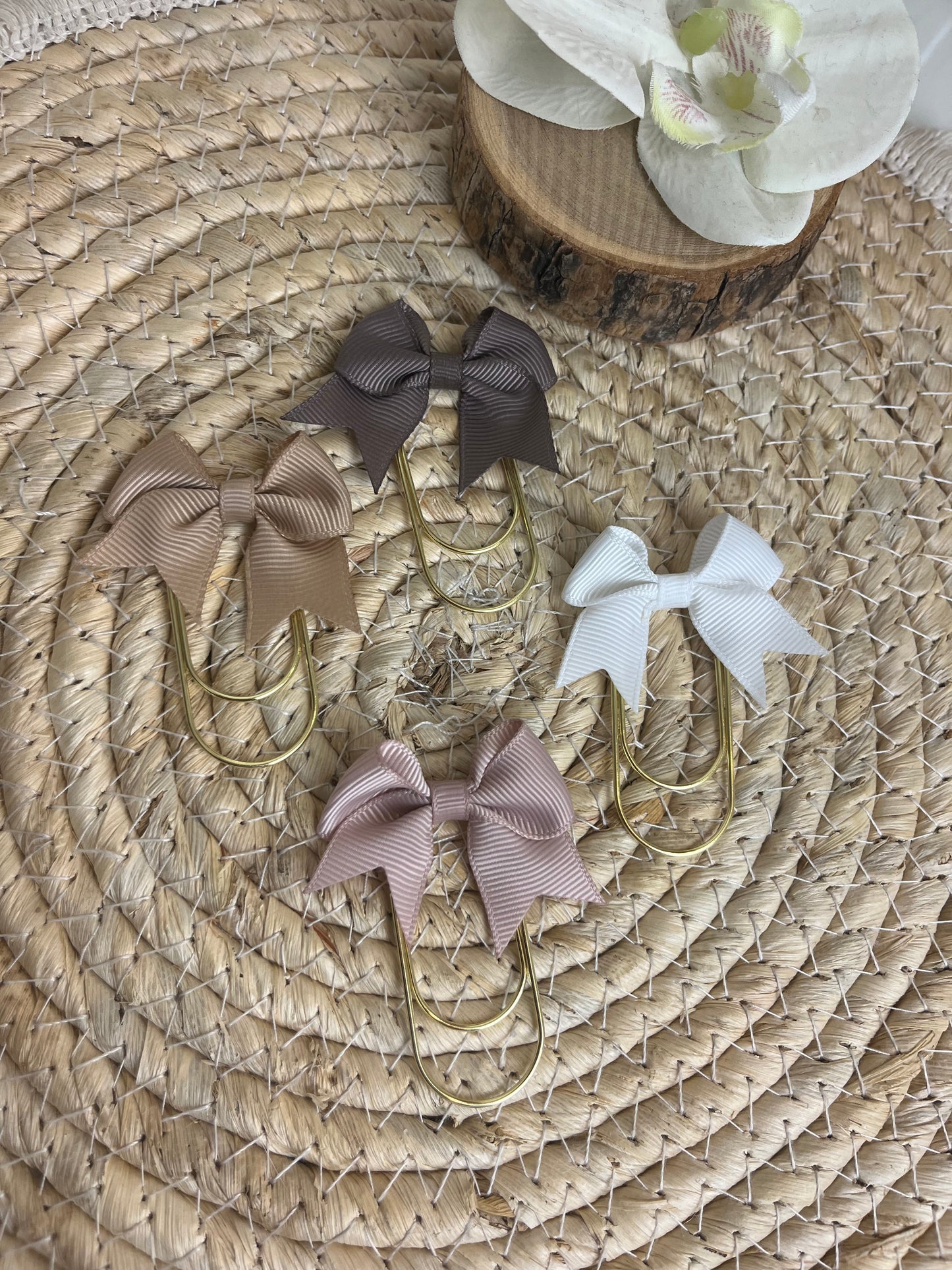 Binder bow set beige