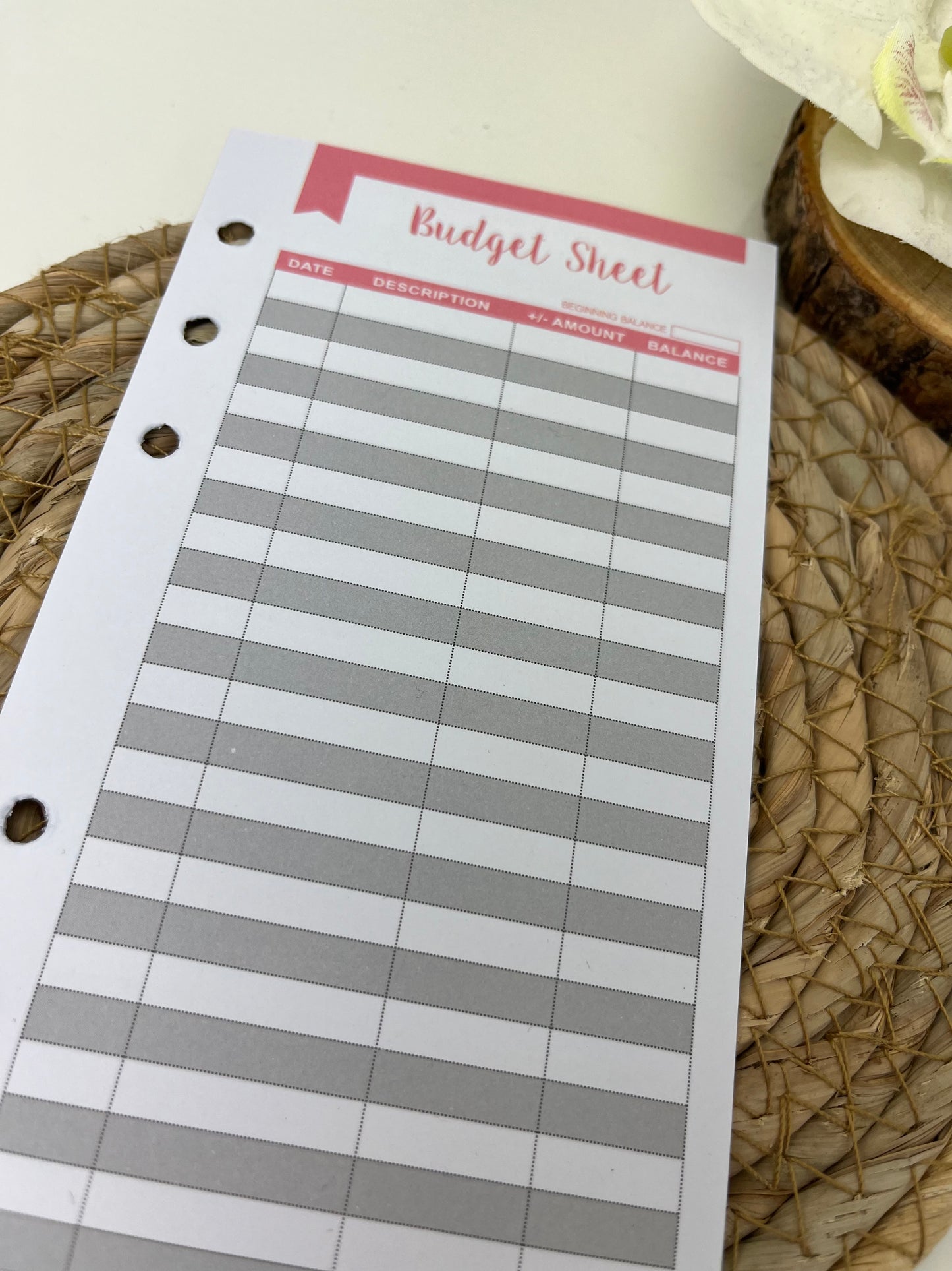 Budget sheet roze