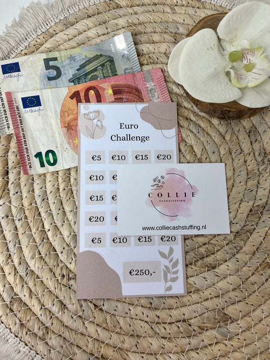 Euro challenge mix €250 beige