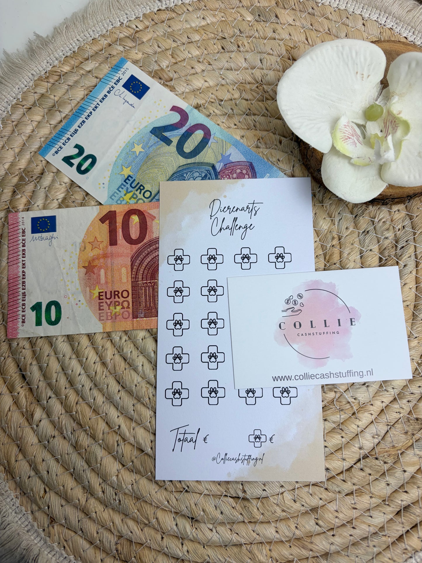 Dierenarts challenge