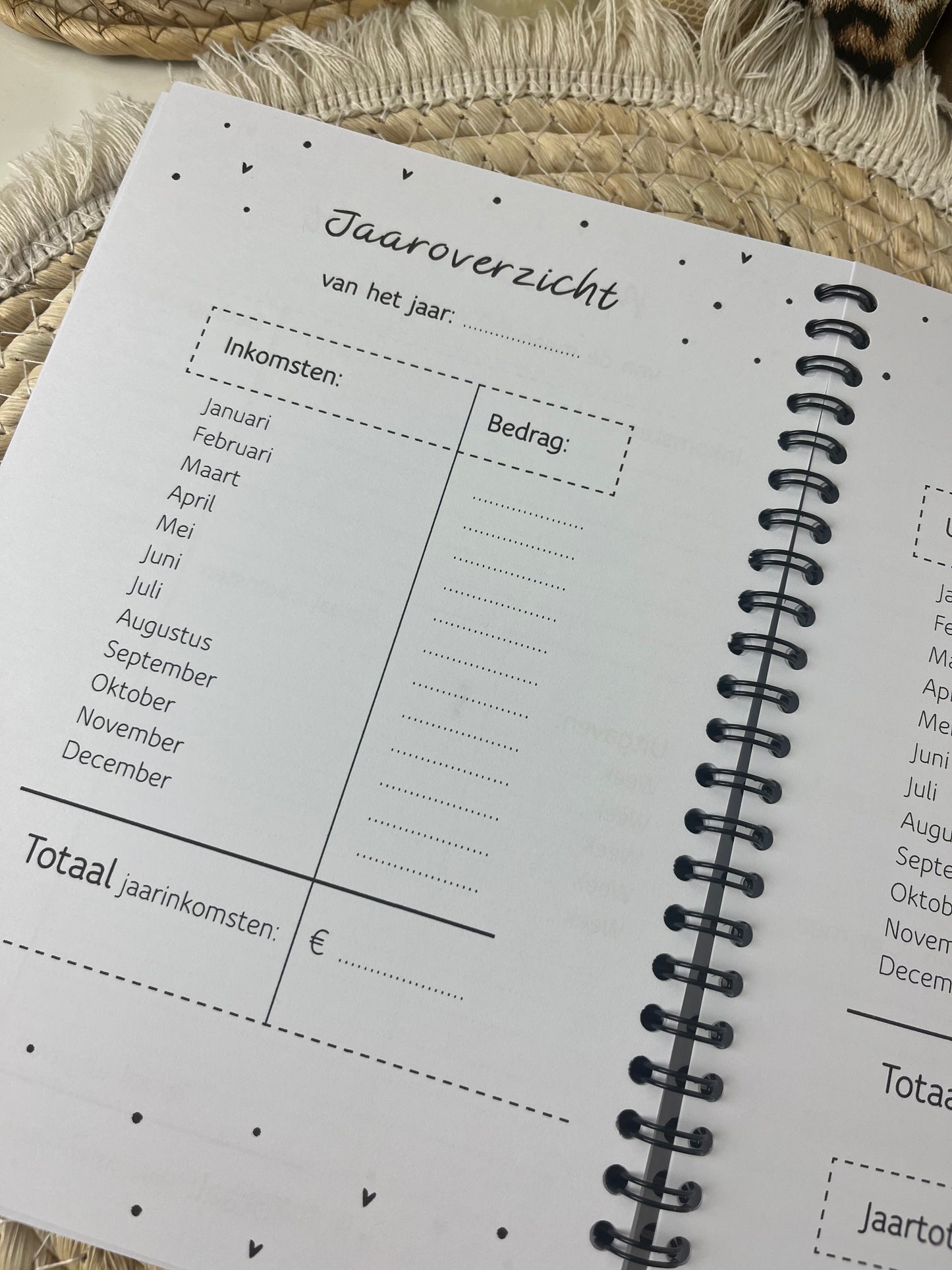 Budget planner