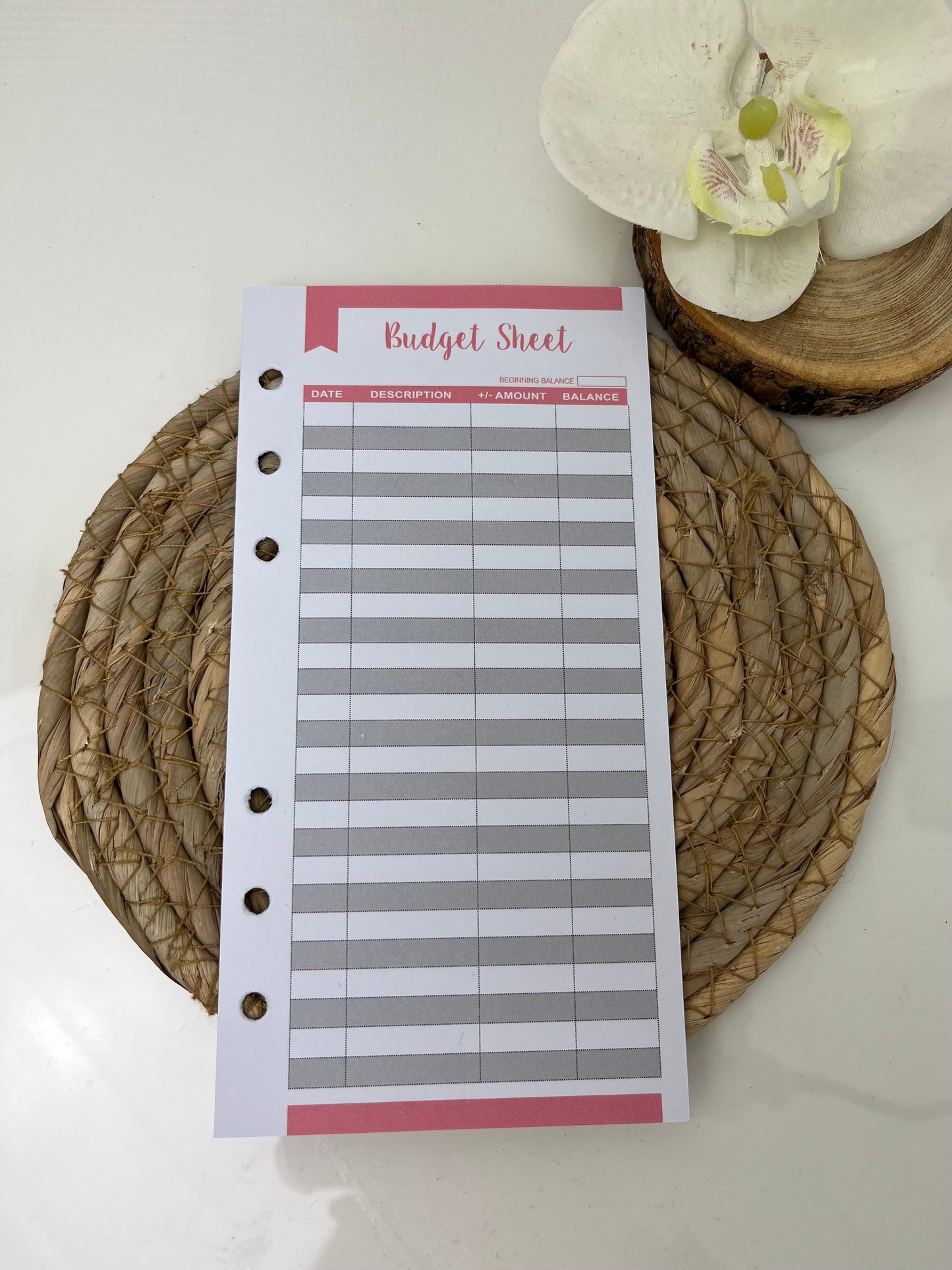 Budget sheet roze